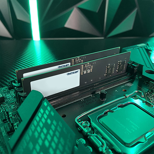 رم کامپیوتر پاتریوت مدل PATRIOT Signature Line DDR5 16GB Single 4800MHz CL40