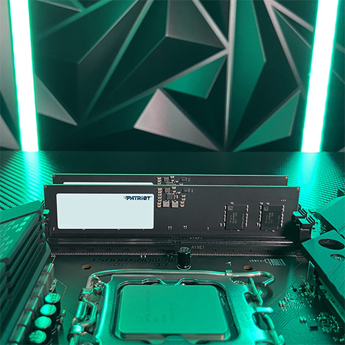 رم کامپیوتر پاتریوت مدل PATRIOT Signature Line DDR5 16GB Single 4800MHz CL40